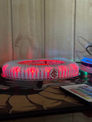 Beira-Rio em Miniatura 3D  + Cortesia.